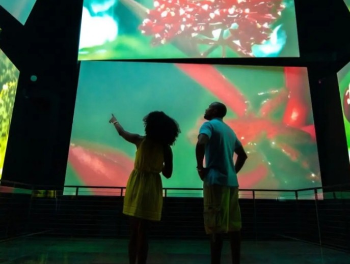 Vista el Bio Museo en Panama. Un Viaje fascinante a la naturaleza 