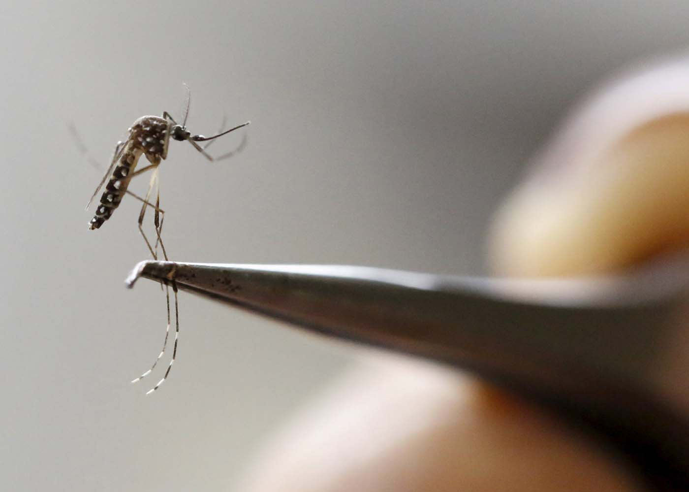  Alerta sanitaria por Zika