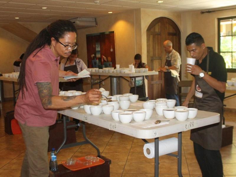 Comienza selección de cafés para The Best of Panama
