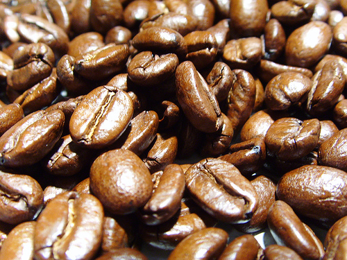 Famoso barista italiano destaca calidad de café panameño