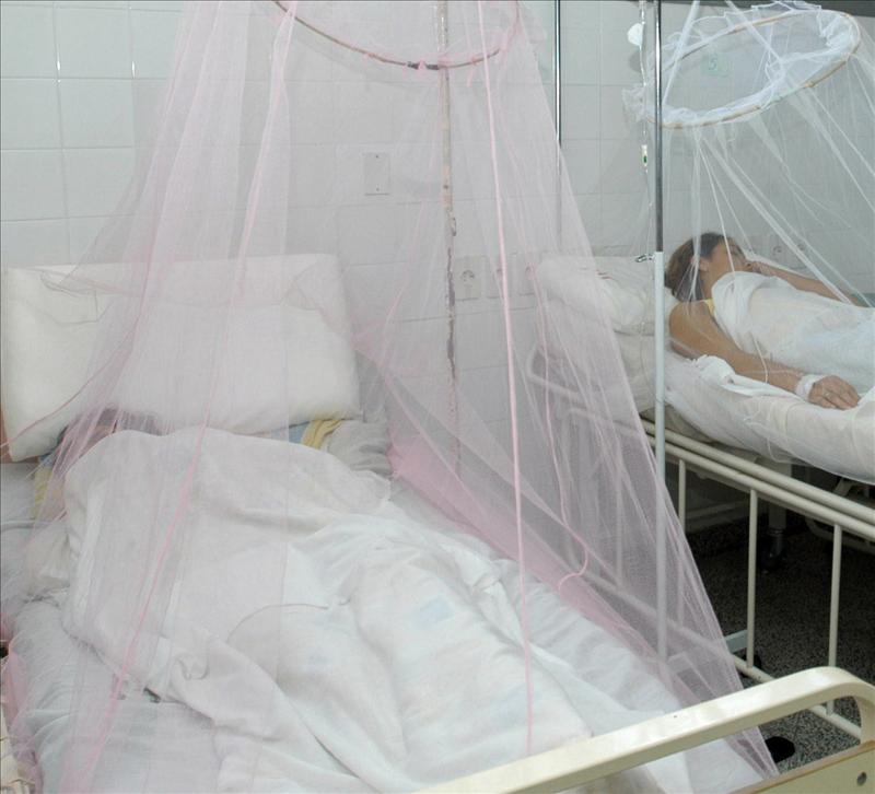 Autoridades sanitarias declaran epidemia de dengue en Panamá