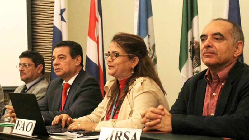 FAO realiza taller regional en Panamá de producción sostenible de alimentos