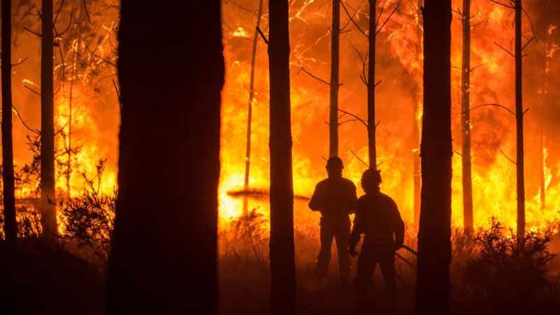  Panamá se solidariza con víctimas de incendios forestales en EEUU, España y Portugal