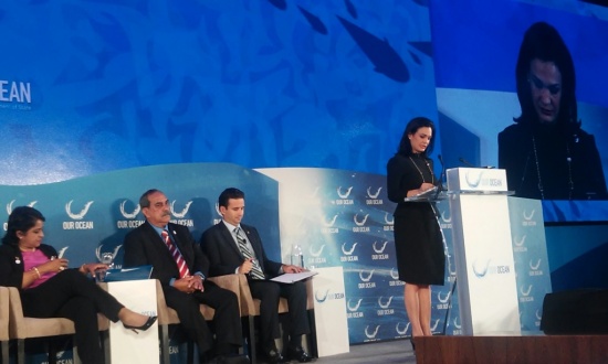 Panamá seguirá impulsando agenda global en materia de protección de océanos 