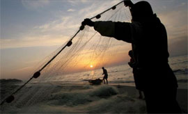 Panamá será sede de la 68.ª reunión del Instituto de Pesquerías del Golfo y el Caribe