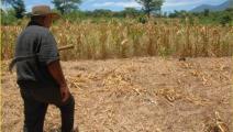 Proponen medidas para enfrentar el pronóstico de sequías
