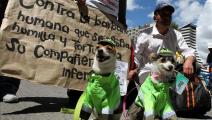 Panamá firma una declaración internacional que promueve el bienestar animal