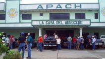 Posible escasez de arroz preocupa a los consumidores y productores