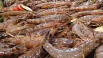 Panamá duplica sus exportaciones de camarón