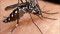 Panamá y Costa Rica se unen para prevenir dengue en frontera