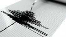 Registran sismo de magnitud 4.4 en frontera de Costa Rica y Panamá