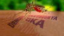 Detectan 20 casos nuevos de zika en Panamá